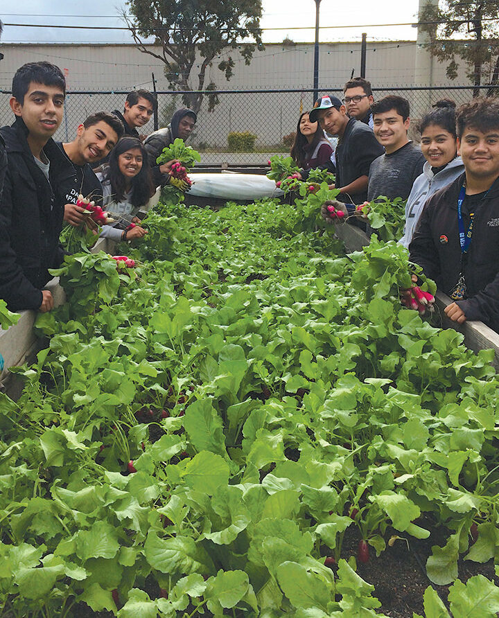 Plant to plate interns in the garden