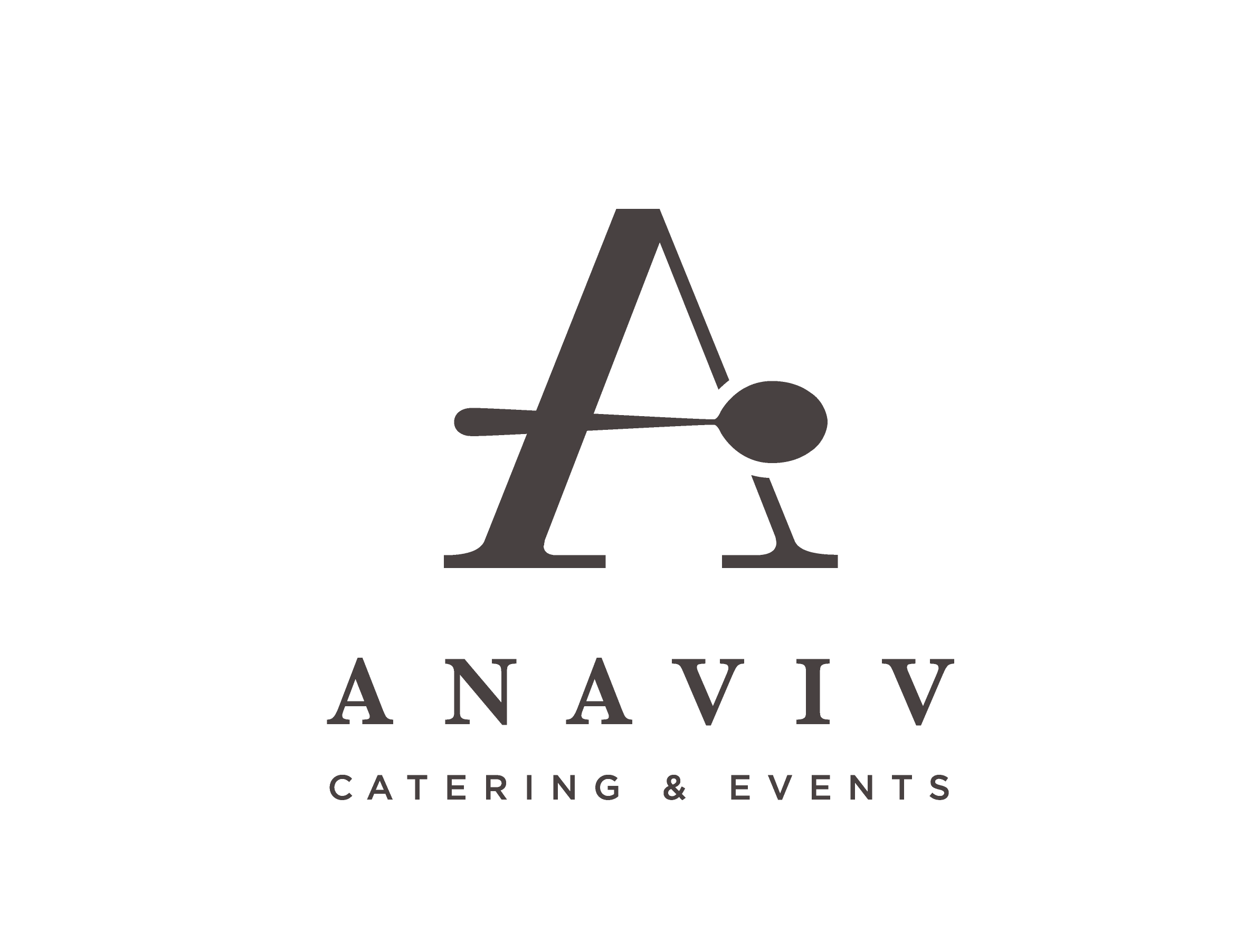 anaviv logo